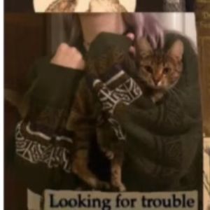 Meet your Posher, Milo